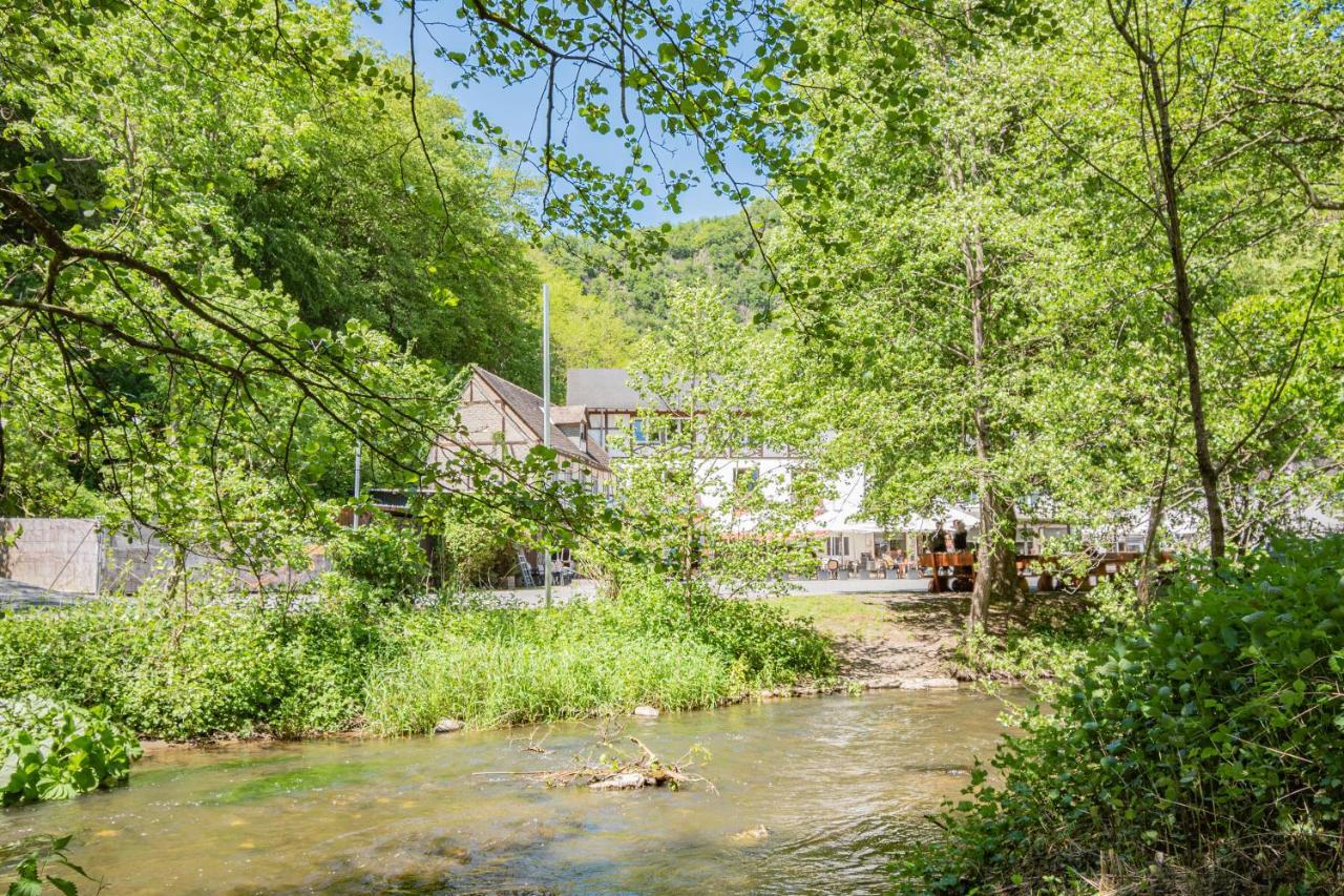 Landhotel Ringelsteiner Muehle Moselkern Extérieur photo