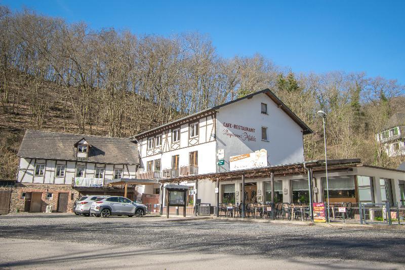 Landhotel Ringelsteiner Muehle Moselkern Extérieur photo